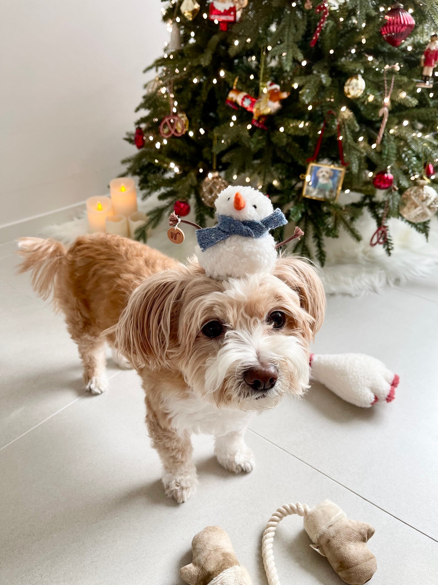 Snowman Hat