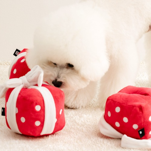 Gift Box Nosework Toy