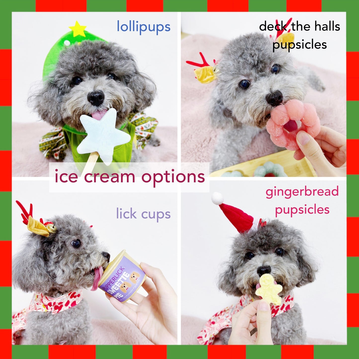 pupperFEAST Bundle