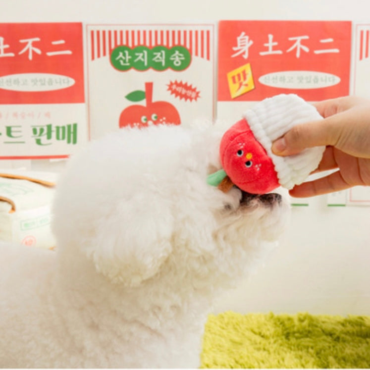 *NEW* Mixed Fruits Box Nosework Toy