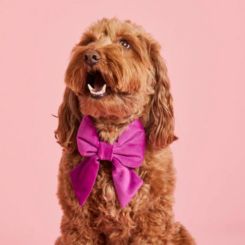 Plum Velvet Sailor Bow
