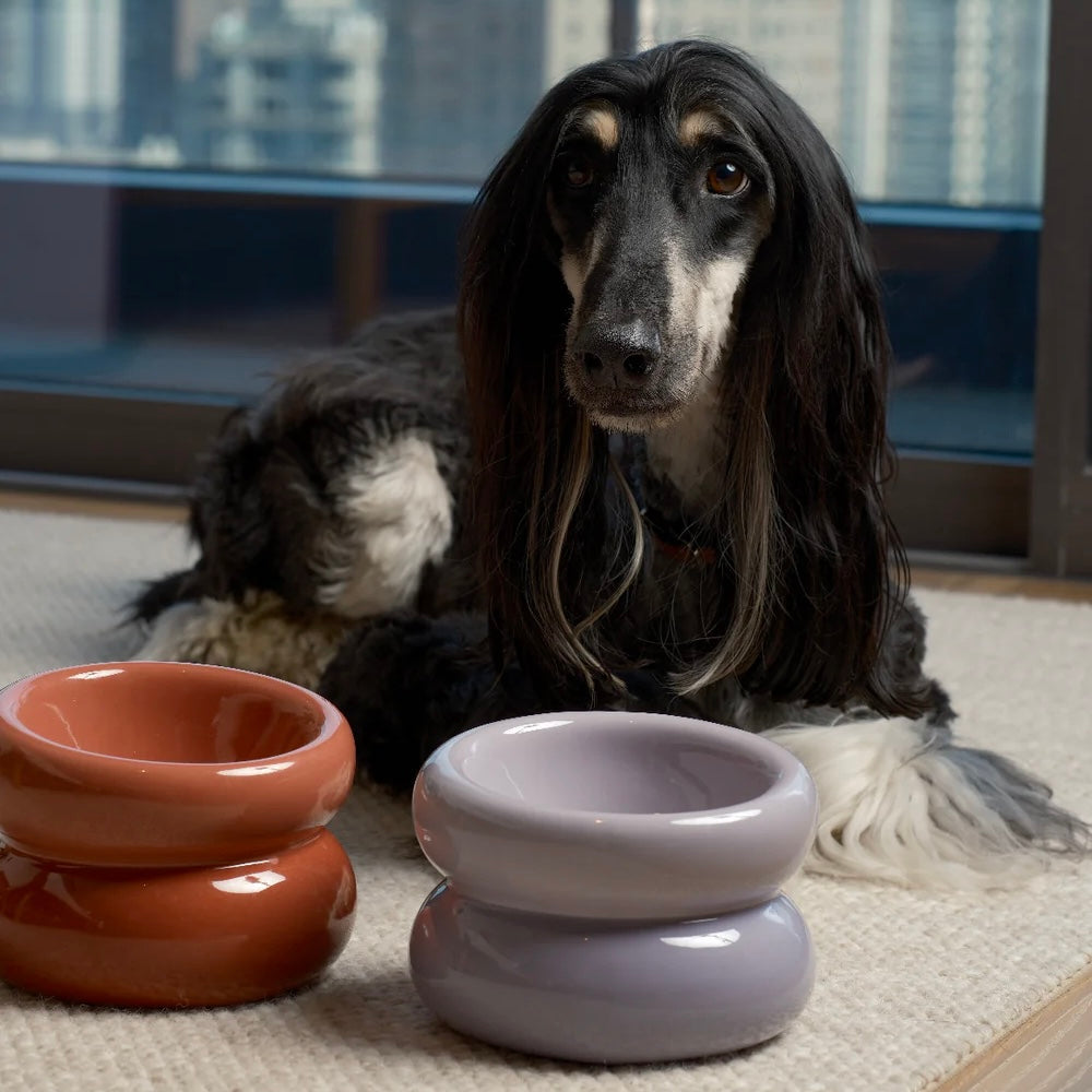 PEHOM Soufflé Pet Bowl