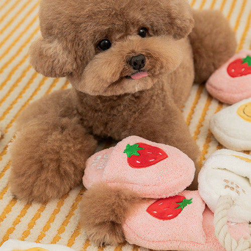 Slipper Tug Toy