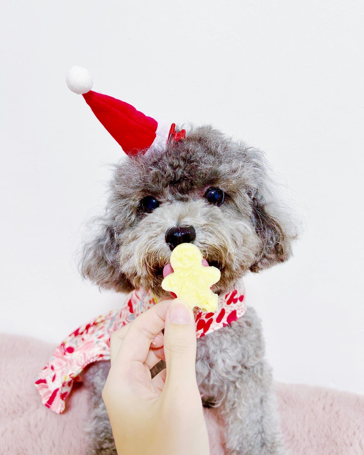 Christmas Pupsicles