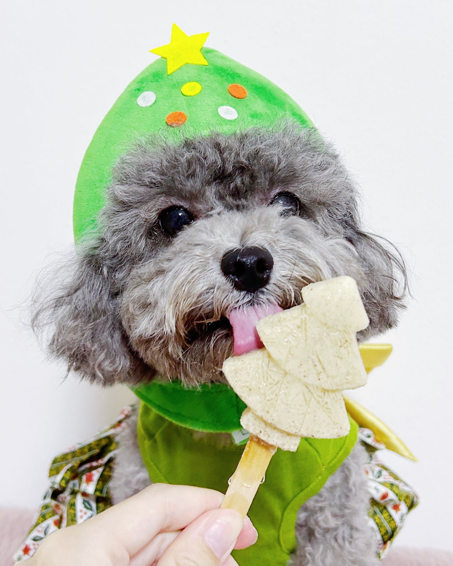 Christmas Lollipups