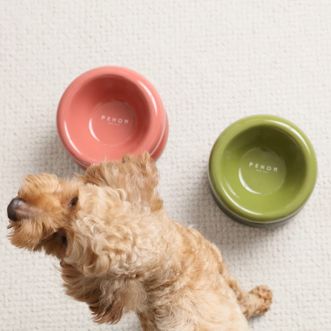 PEHOM Soufflé Pet Bowl