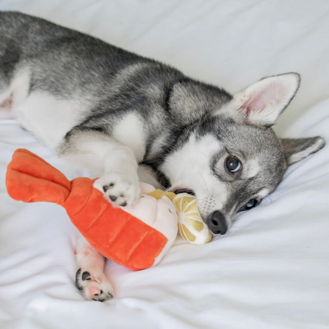 Grilled Lobster Nosework Toy