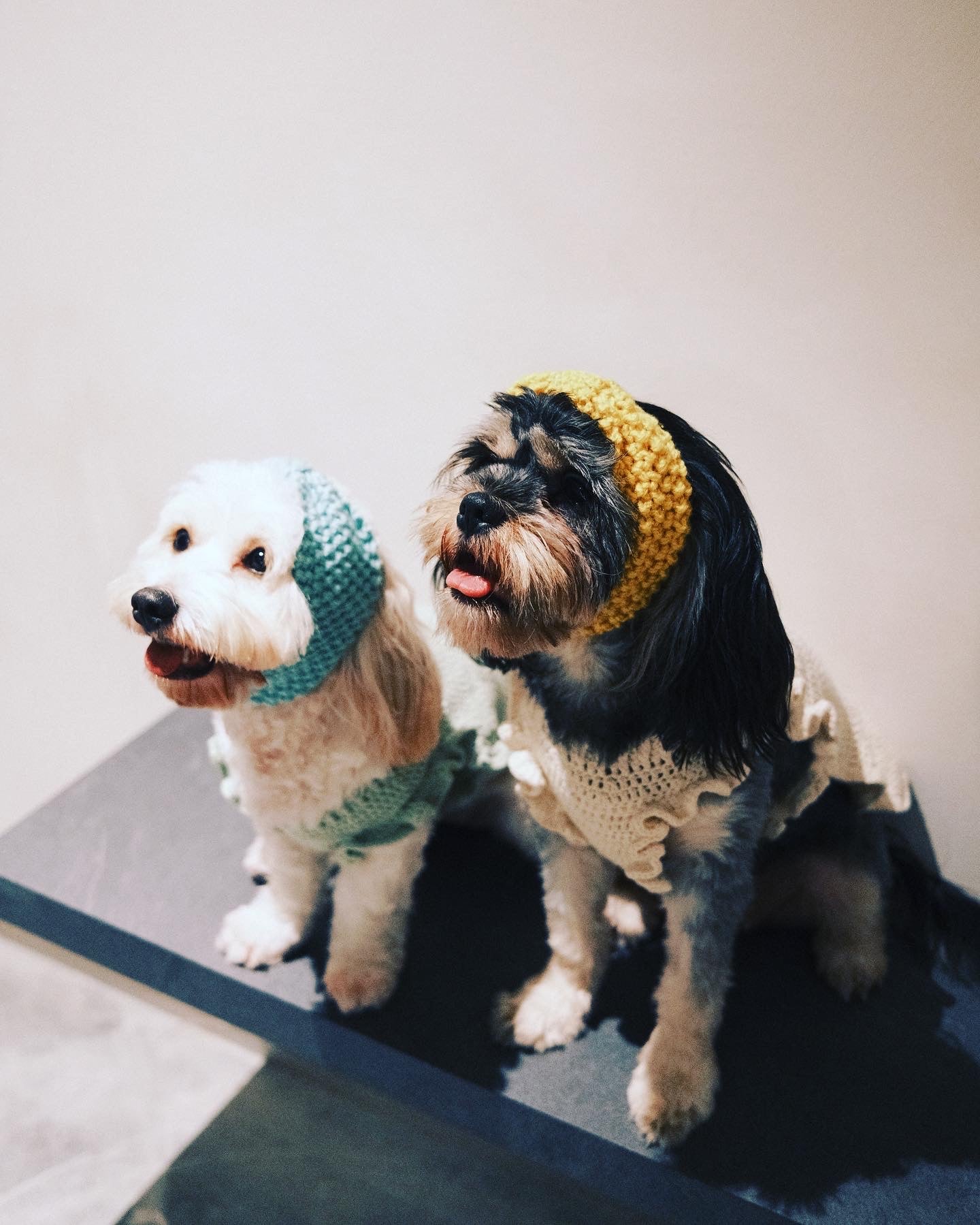Knot Snood