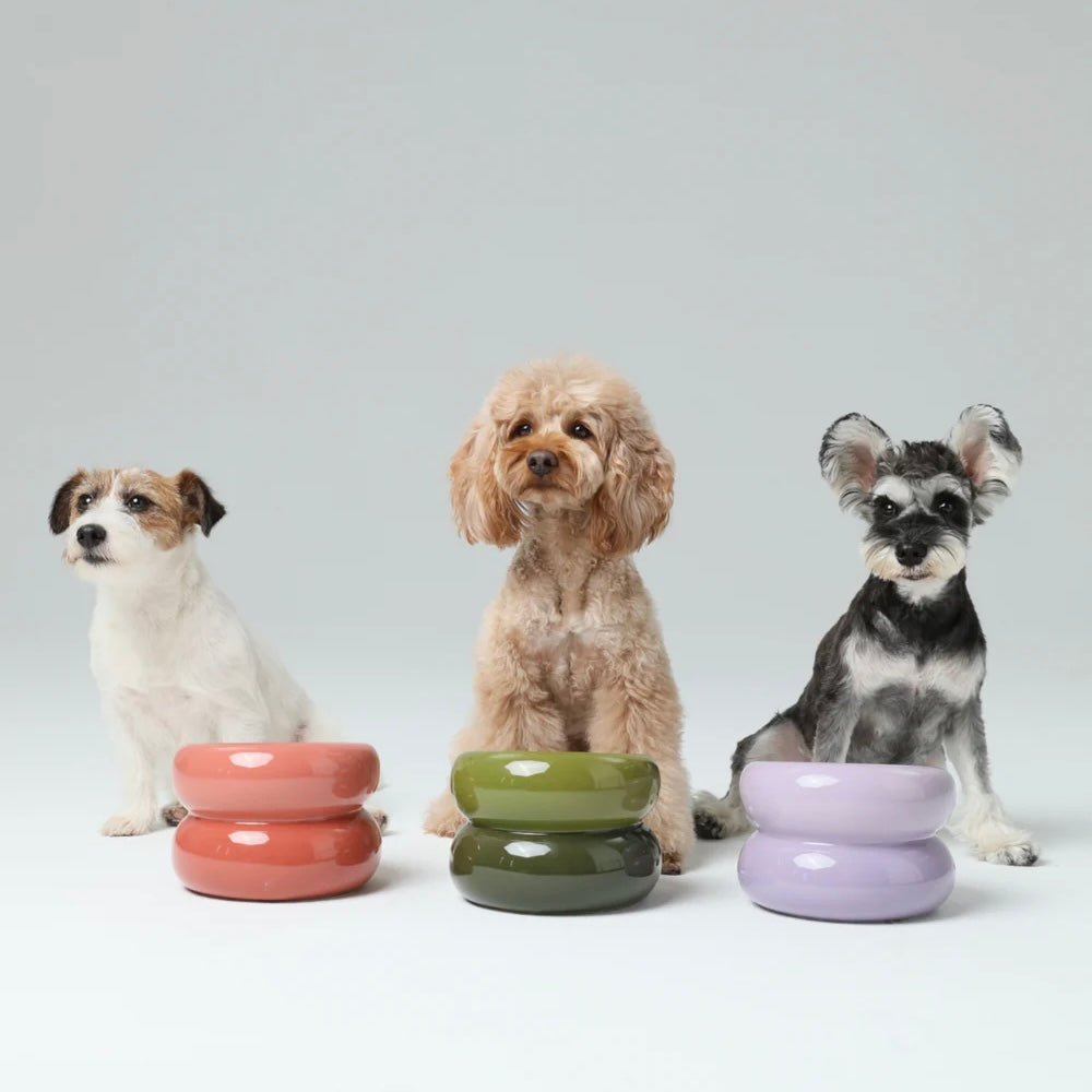 PEHOM Soufflé Pet Bowl