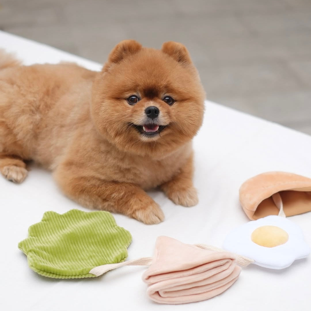 Pita Pocket Nosework Toy