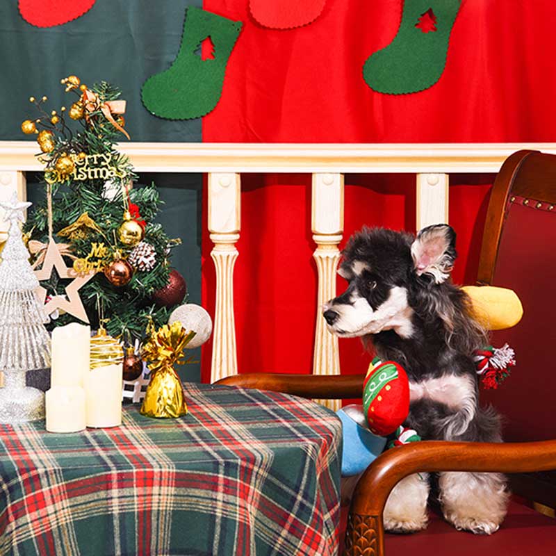 Christmas Light Rope Toy