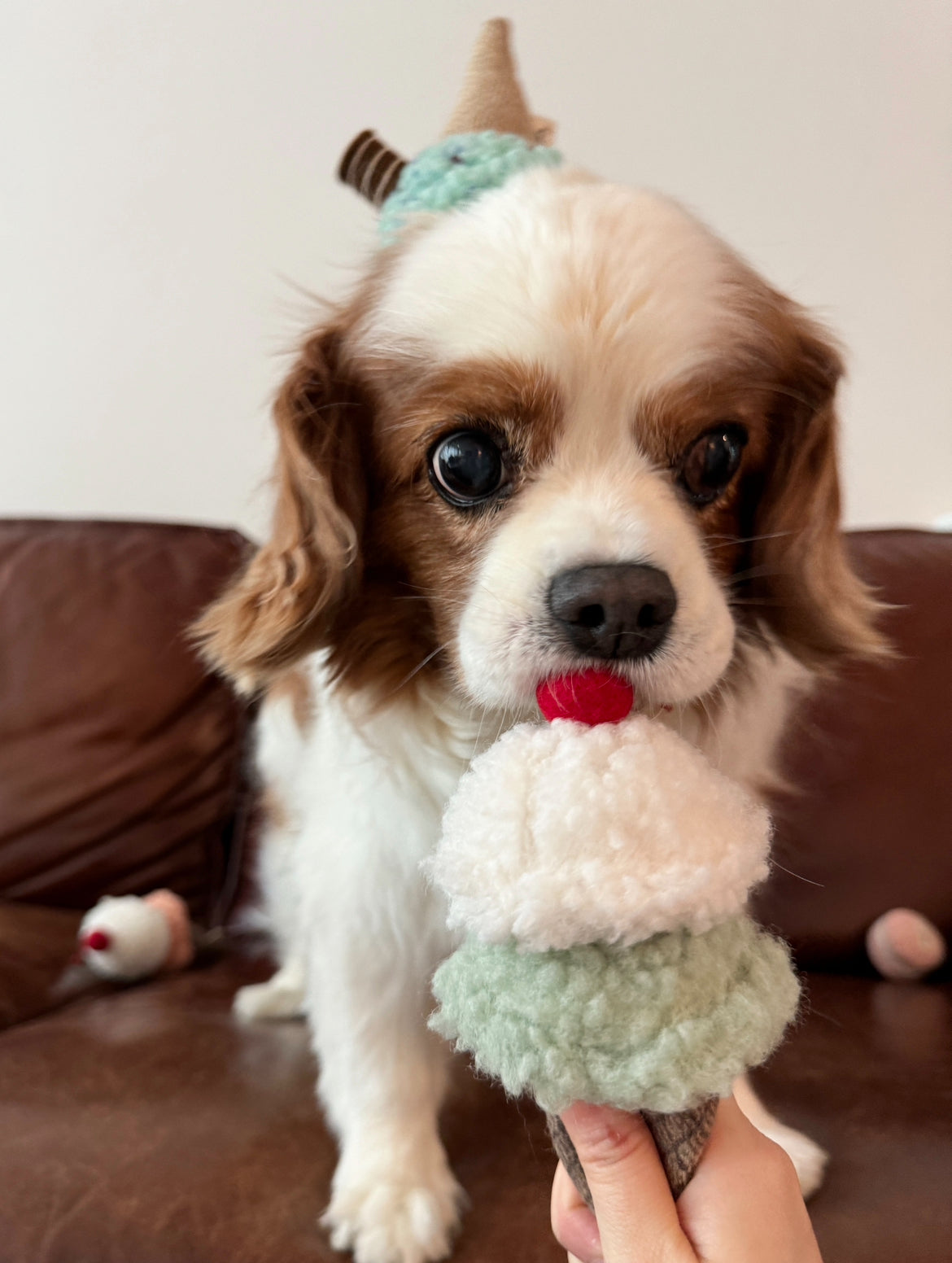 Ice Cream Dog Toy