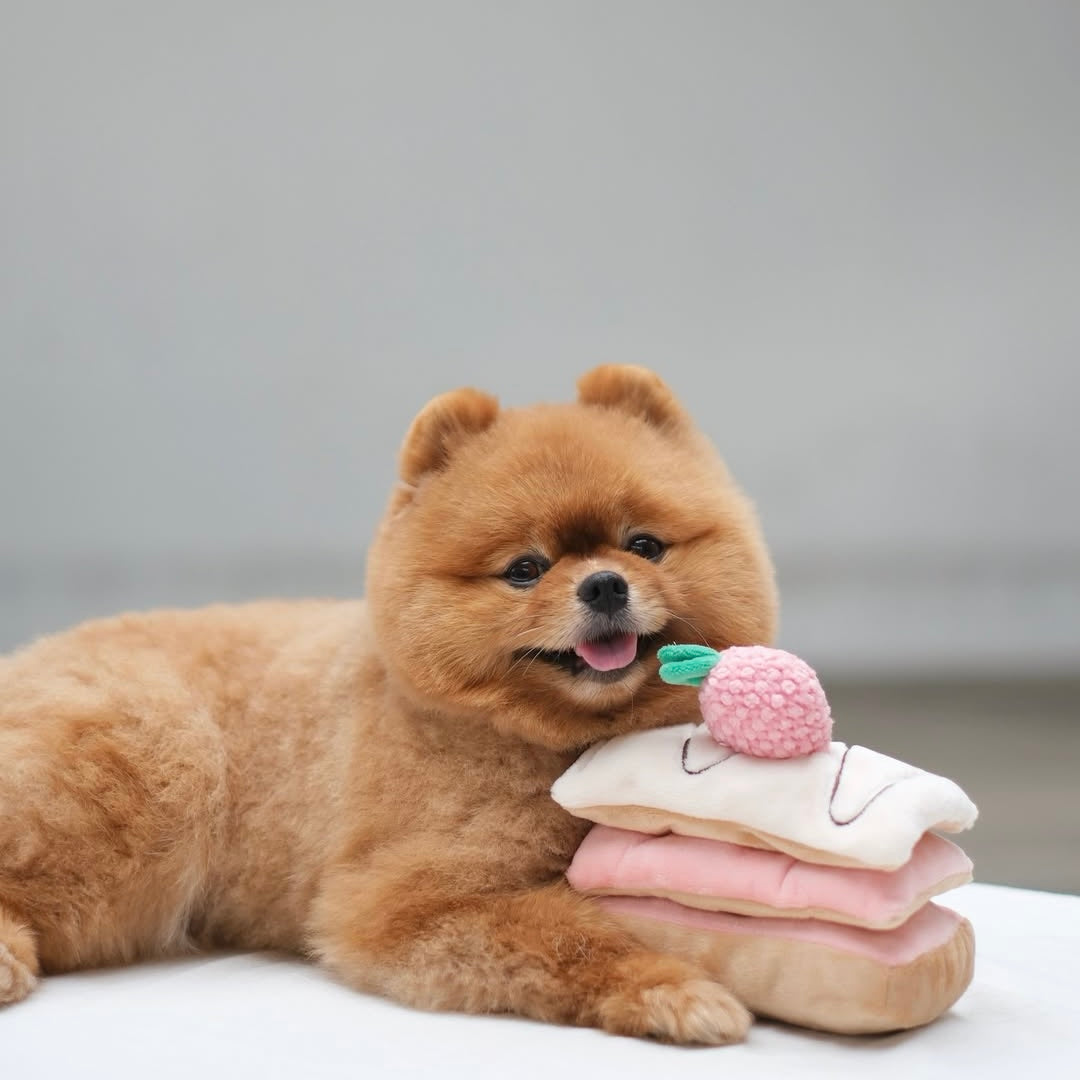 Strawberry Mille-Feuille Nosework Toy