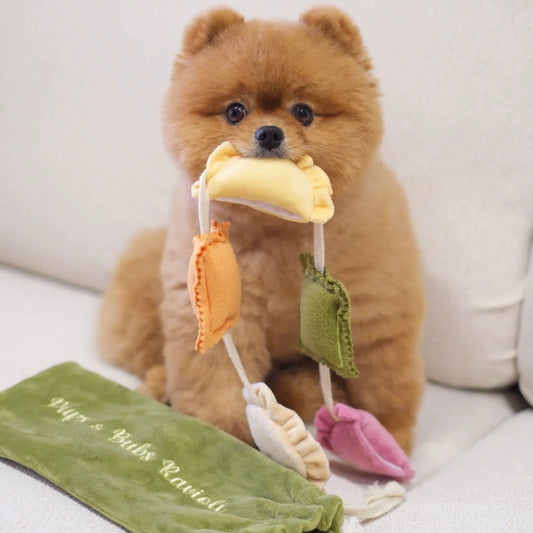 Ravioli Nosework Toy