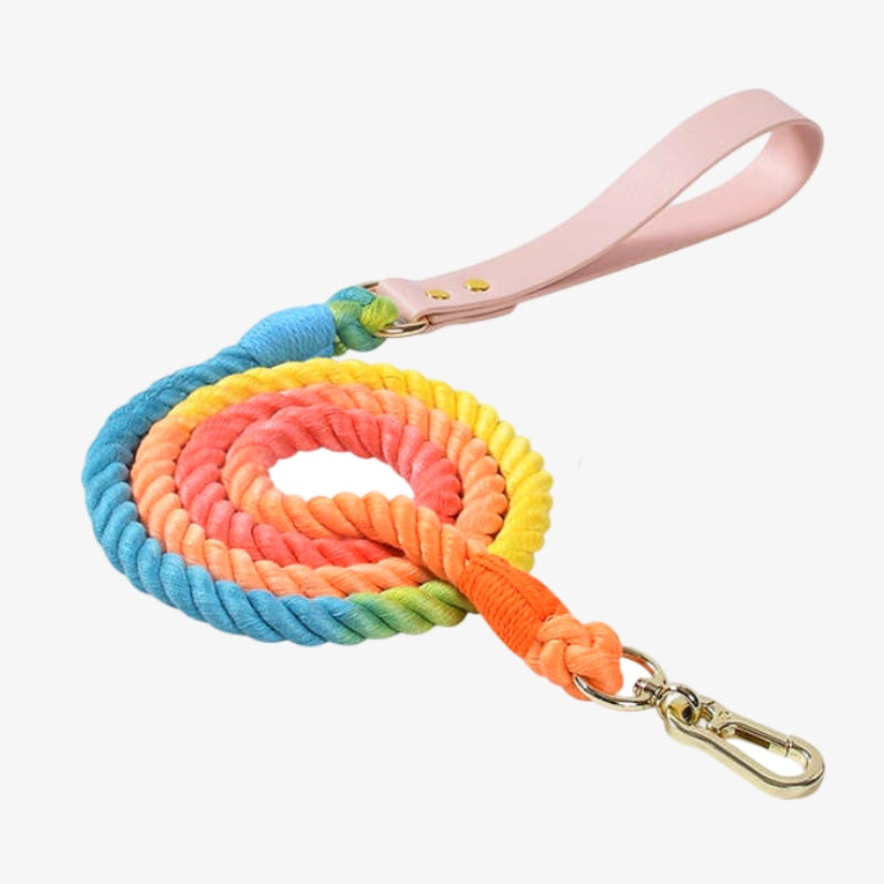 Bright As The Sun Leash