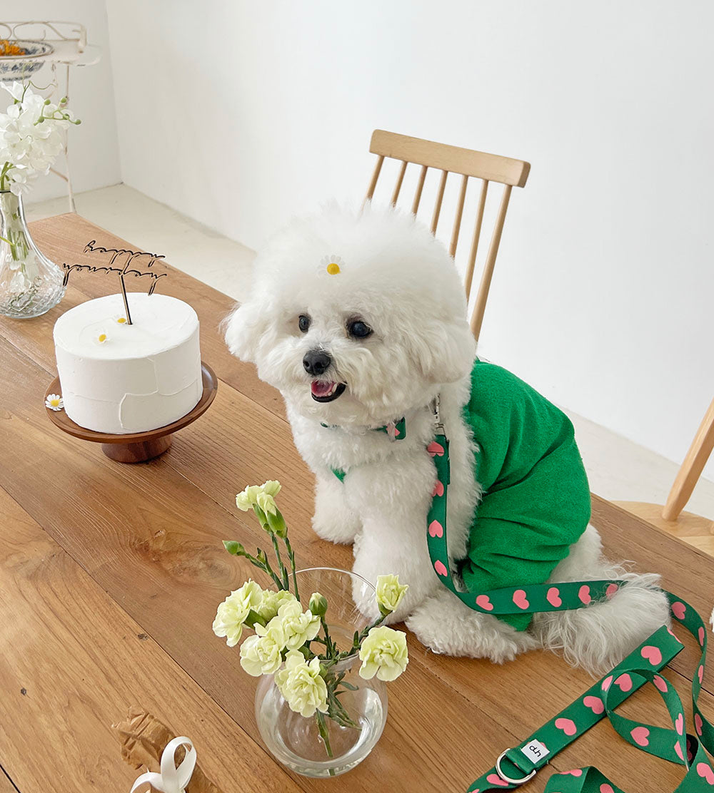 Heart Bong Bong Leash