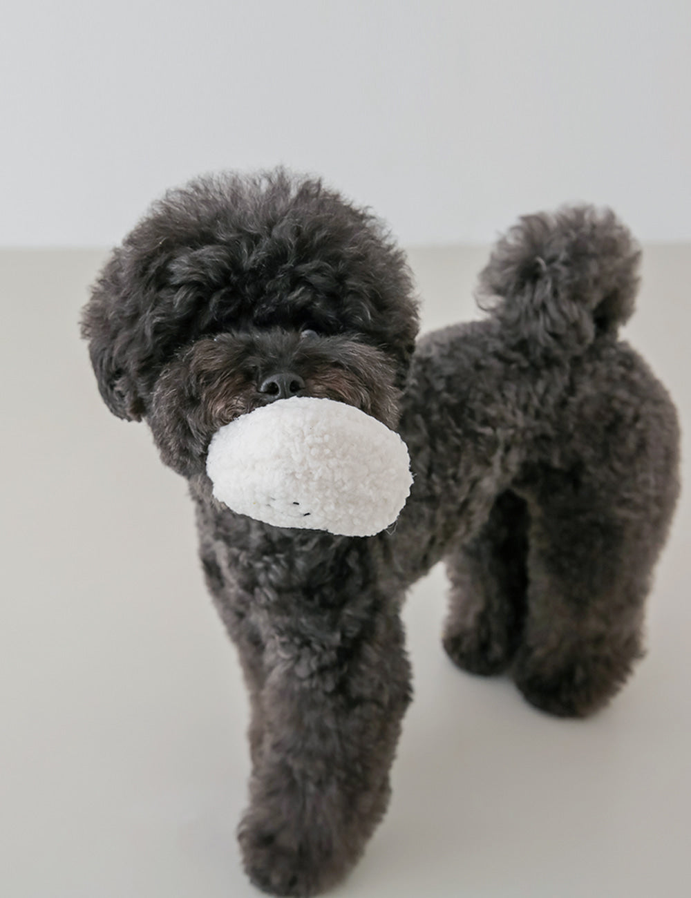 Triangle Gimbap Nosework Toy