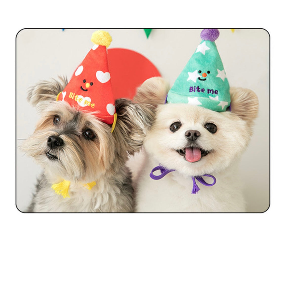 Happy Party Hat Toy (Set of 3)