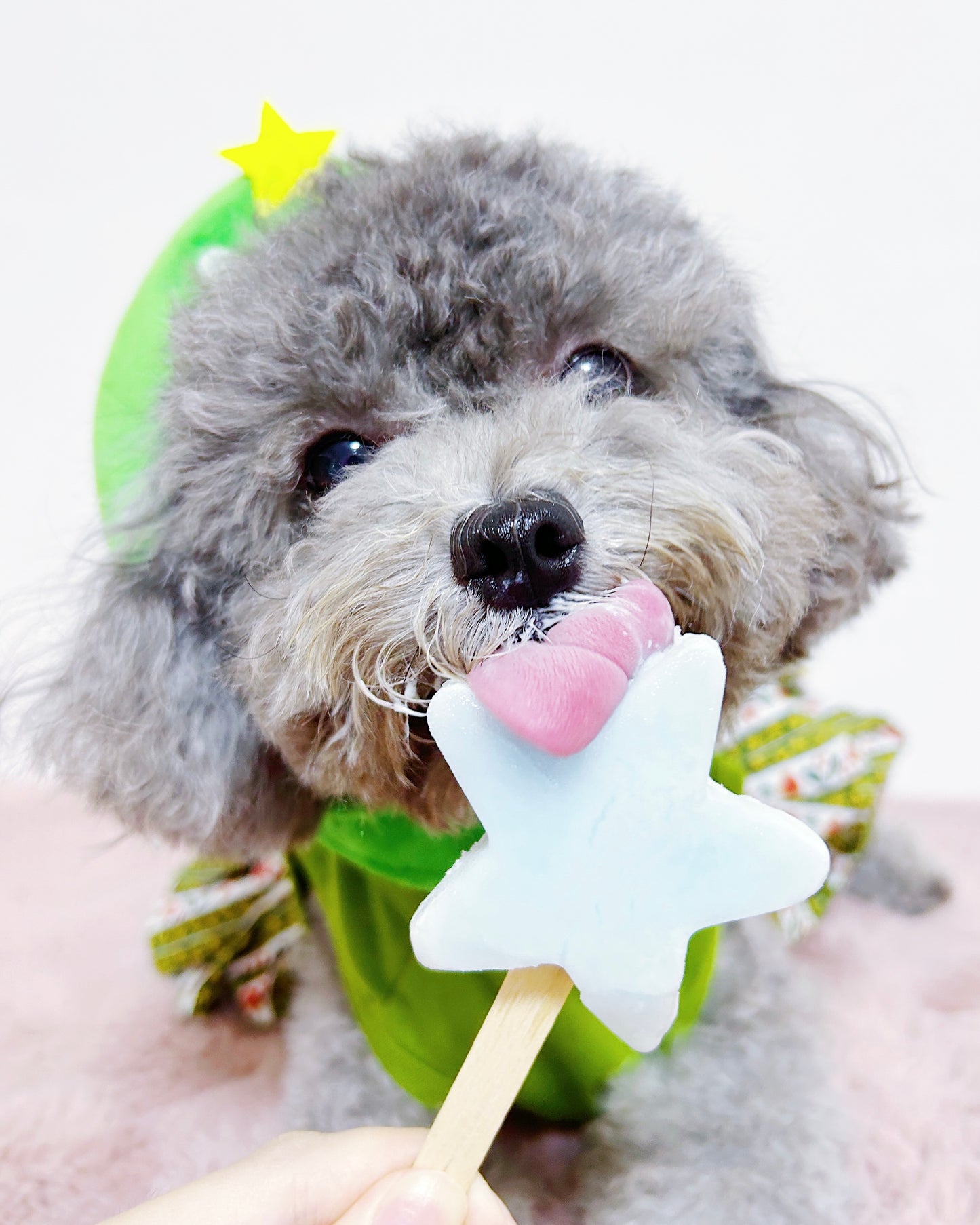 Christmas Lollipups