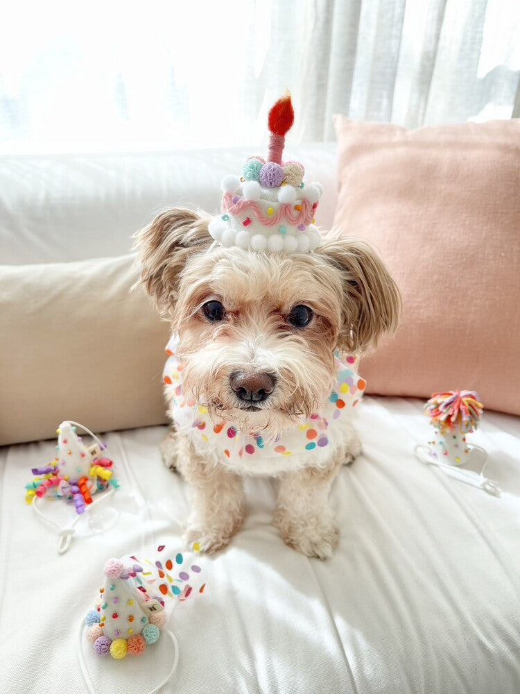 Party Hat