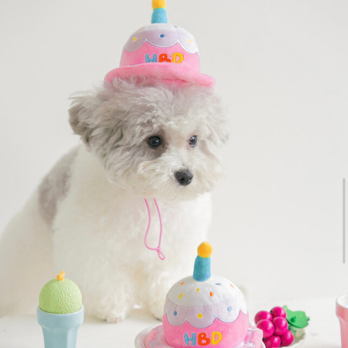 Party Cake Hat Toy