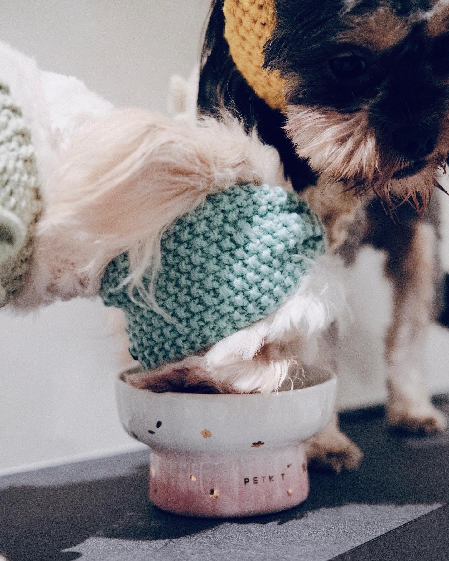 Knot Snood