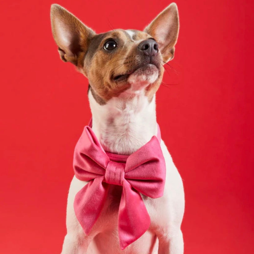 Hot Pink Velvet Sailor Bow