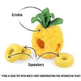 Paws Up Pineapple Squeaky Plush Toy