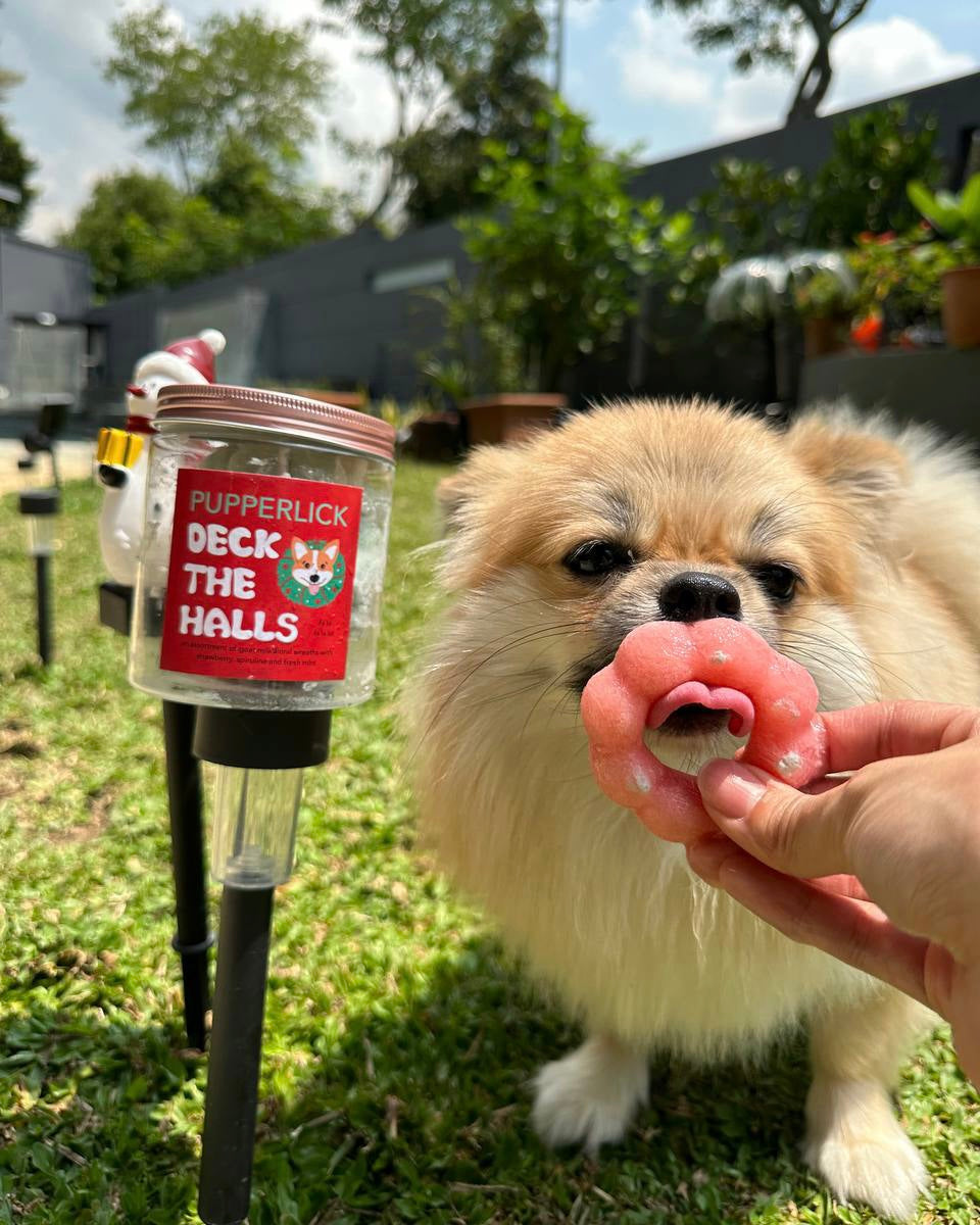 Christmas Pupsicles