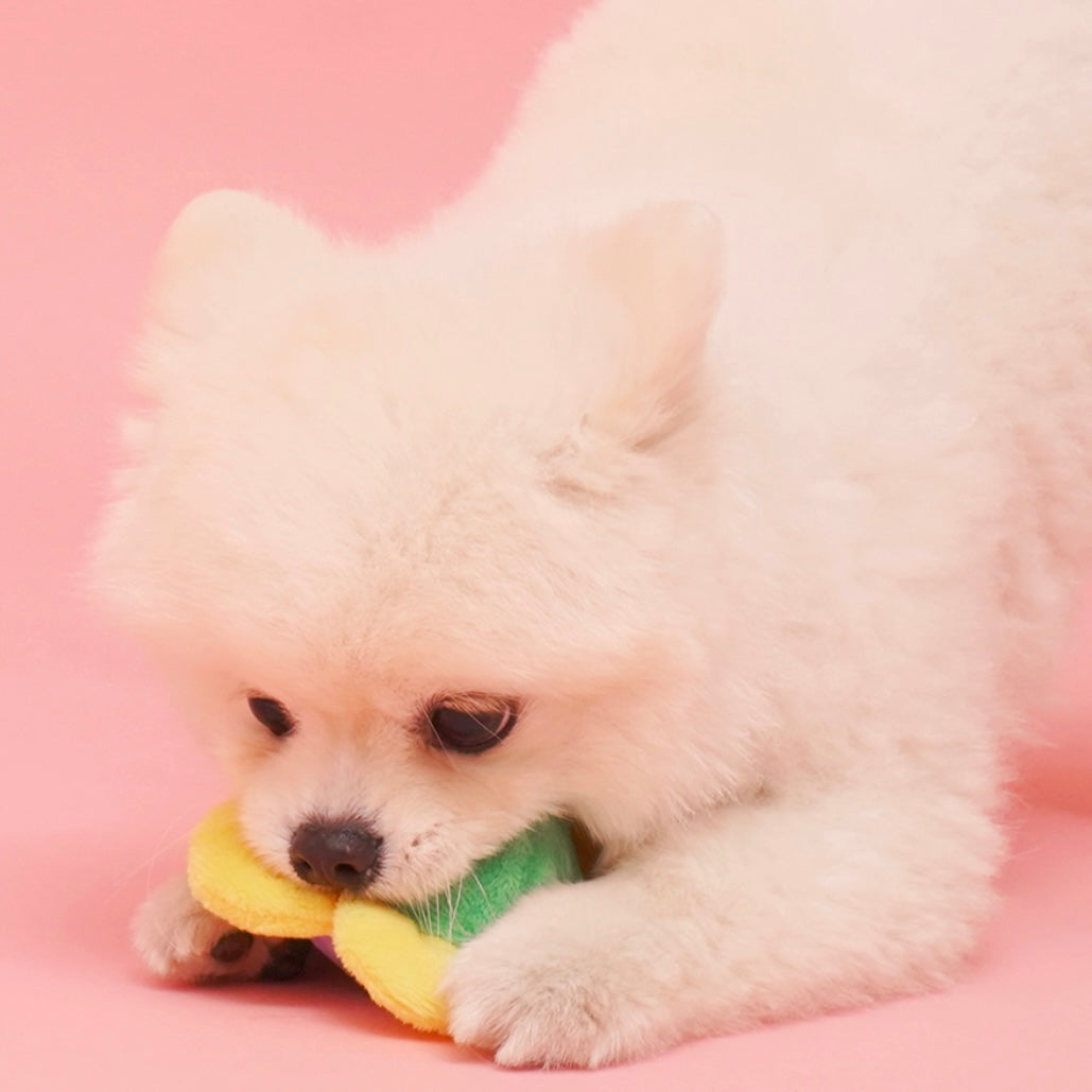 Flower Ball Catch Toy