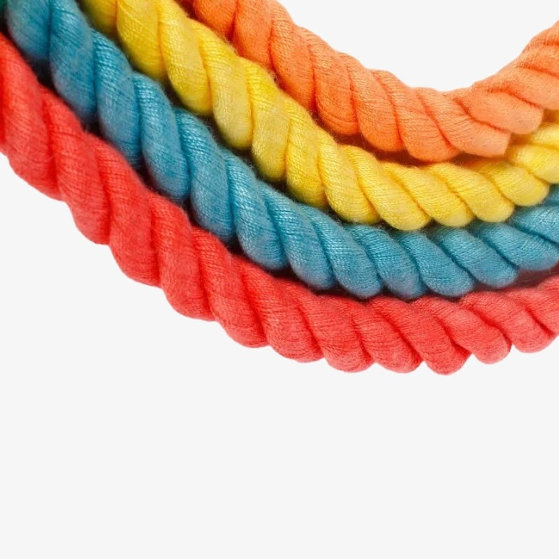 Bright As The Sun Leash