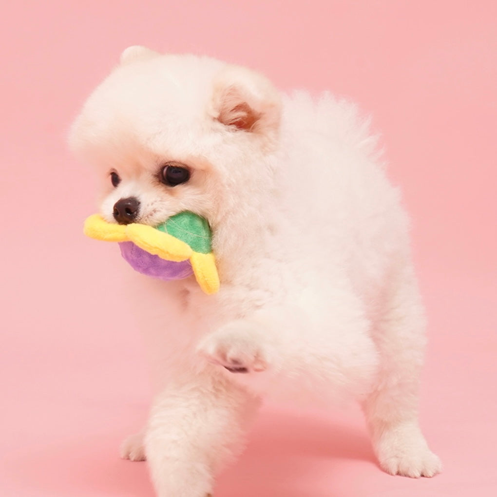 Flower Ball Catch Toy