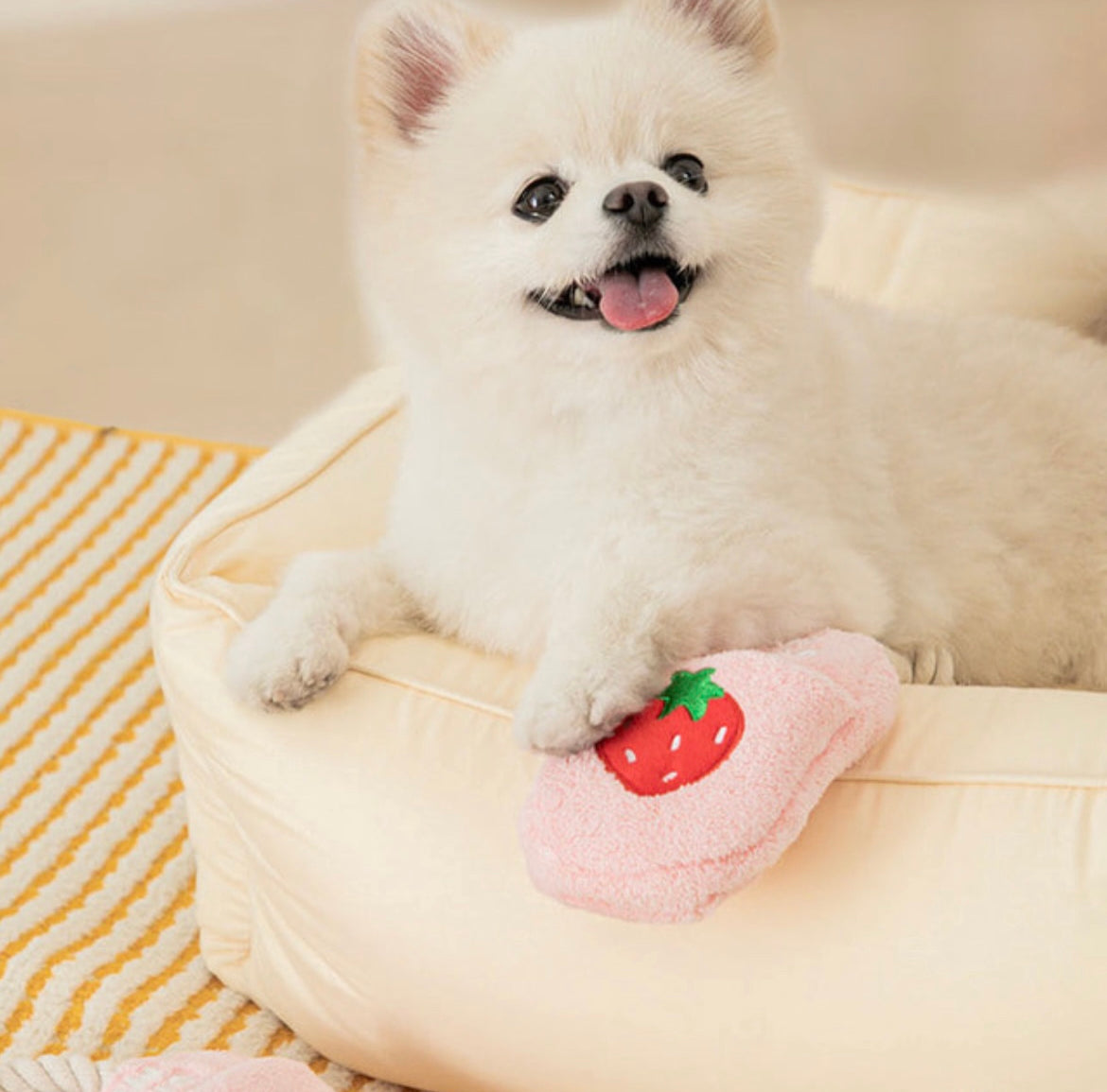 Slipper Tug Toy