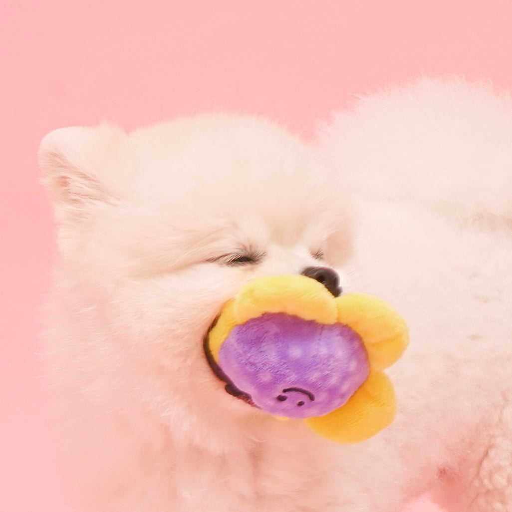 Flower Ball Catch Toy