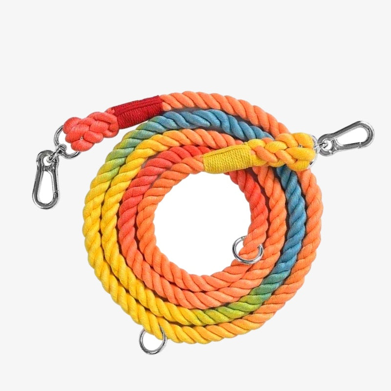 Bright As The Sun Leash