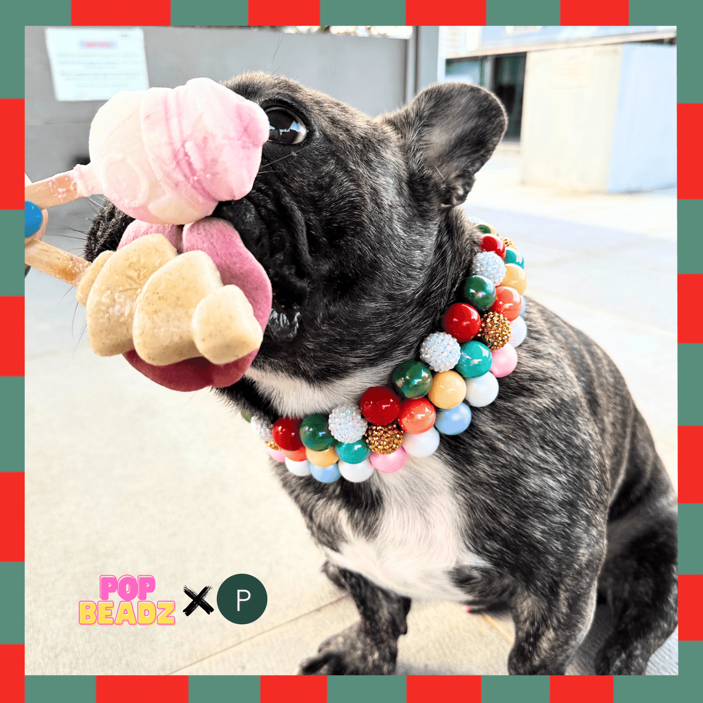 pupperFASHIONISTA Bundle