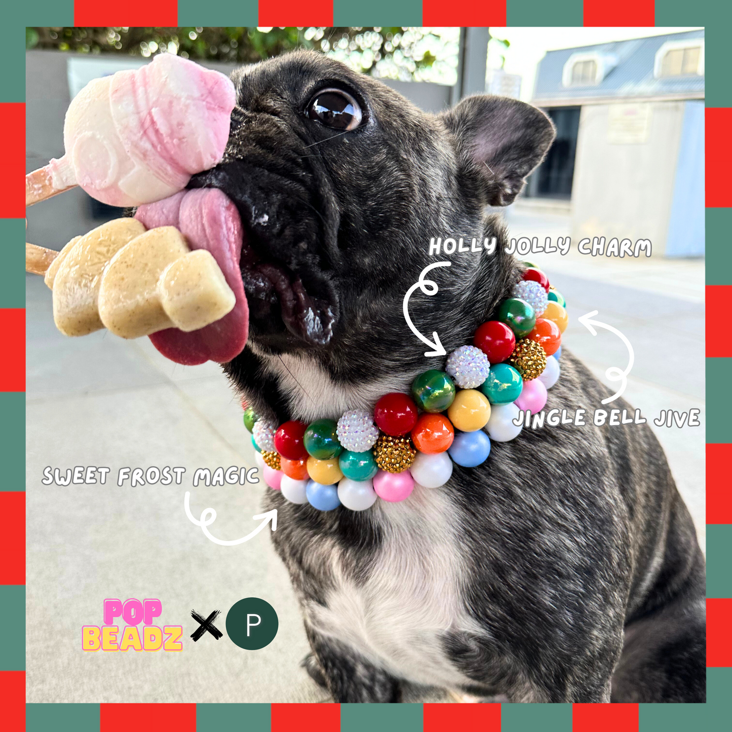 Jingle Bell Jive Collar