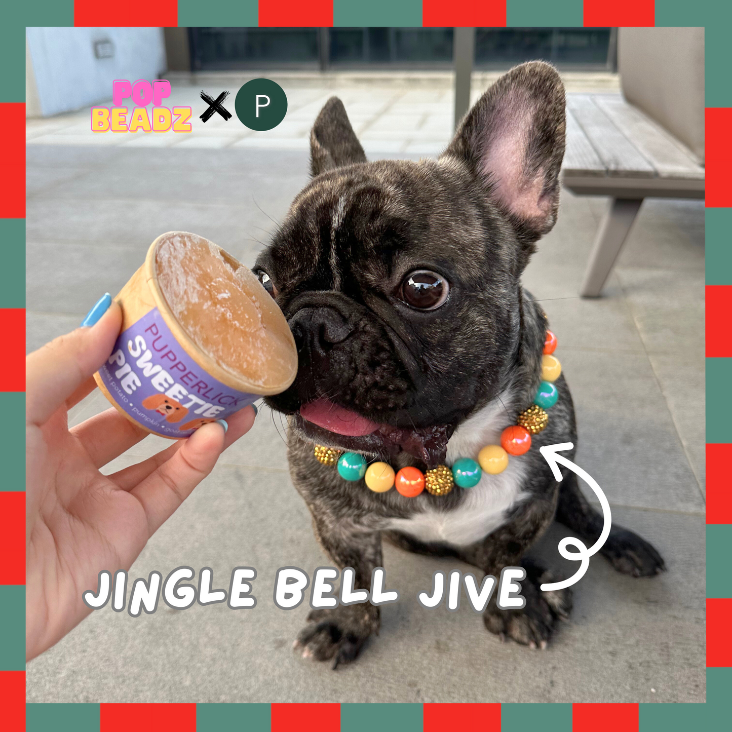 Jingle Bell Jive Collar