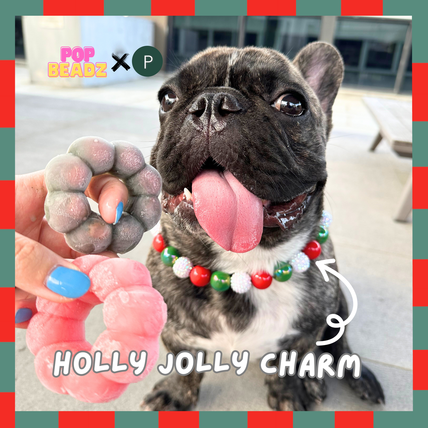 Holly Jolly Charm Collar