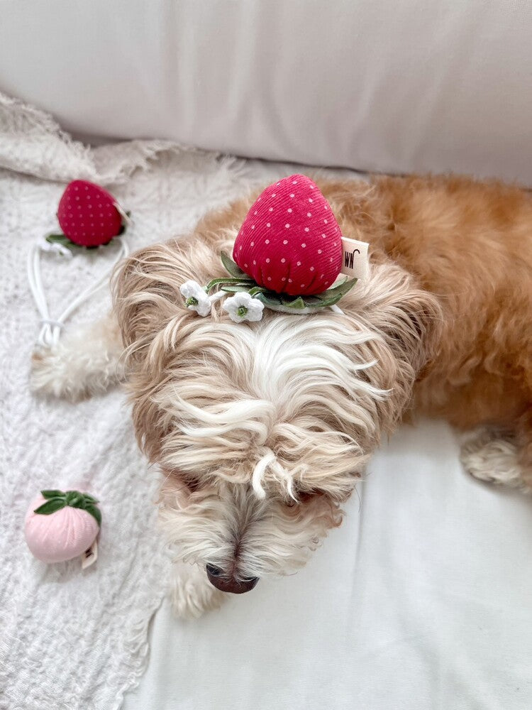 Strawberry Head Piece