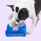 Ghost Mouse Nosework Toy