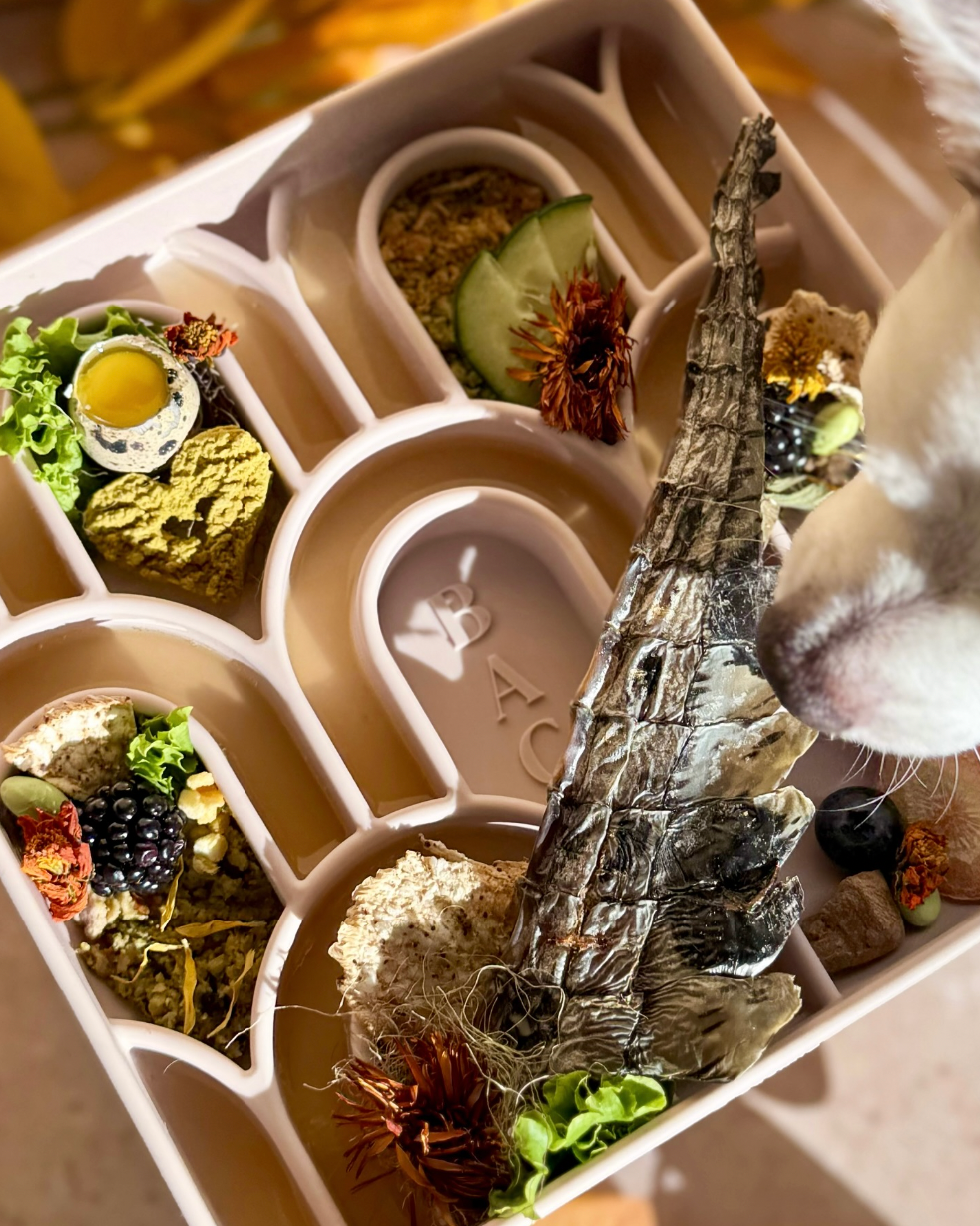 Arco Slow Feeder (Limestone)