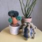 Bonsai Plant Dog Toy