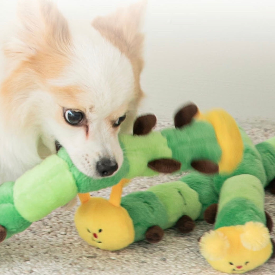 Worm Tug Toy