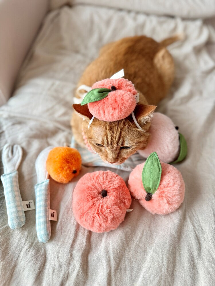 Donut Peach Head Piece