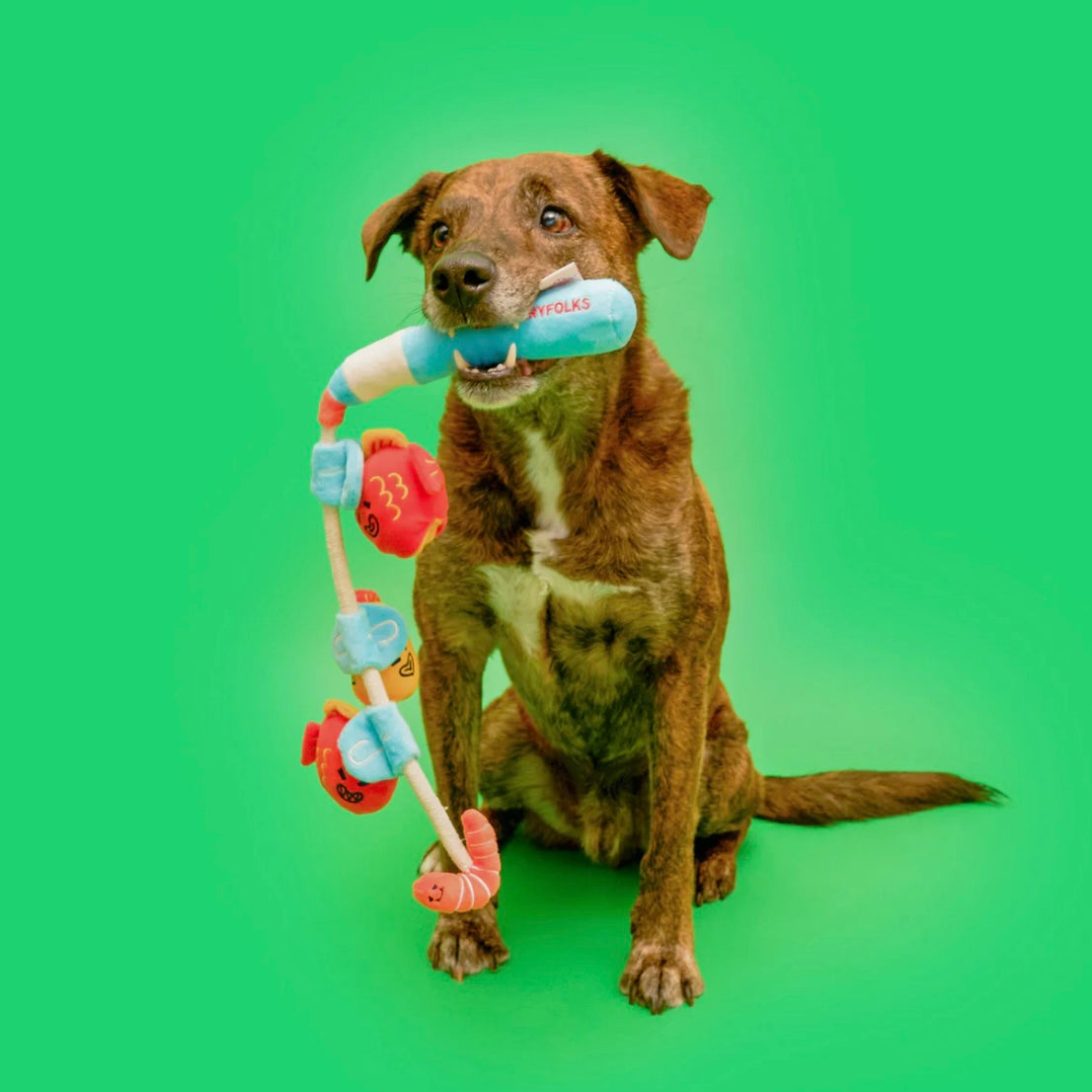 Fishing Nosework & Tug Toy