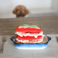 Lasagna Nosework Toy