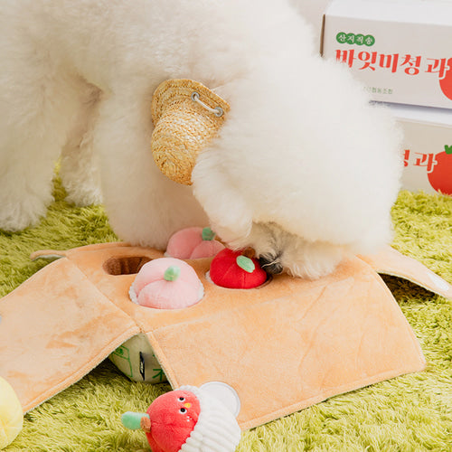 *NEW* Mixed Fruits Box Nosework Toy
