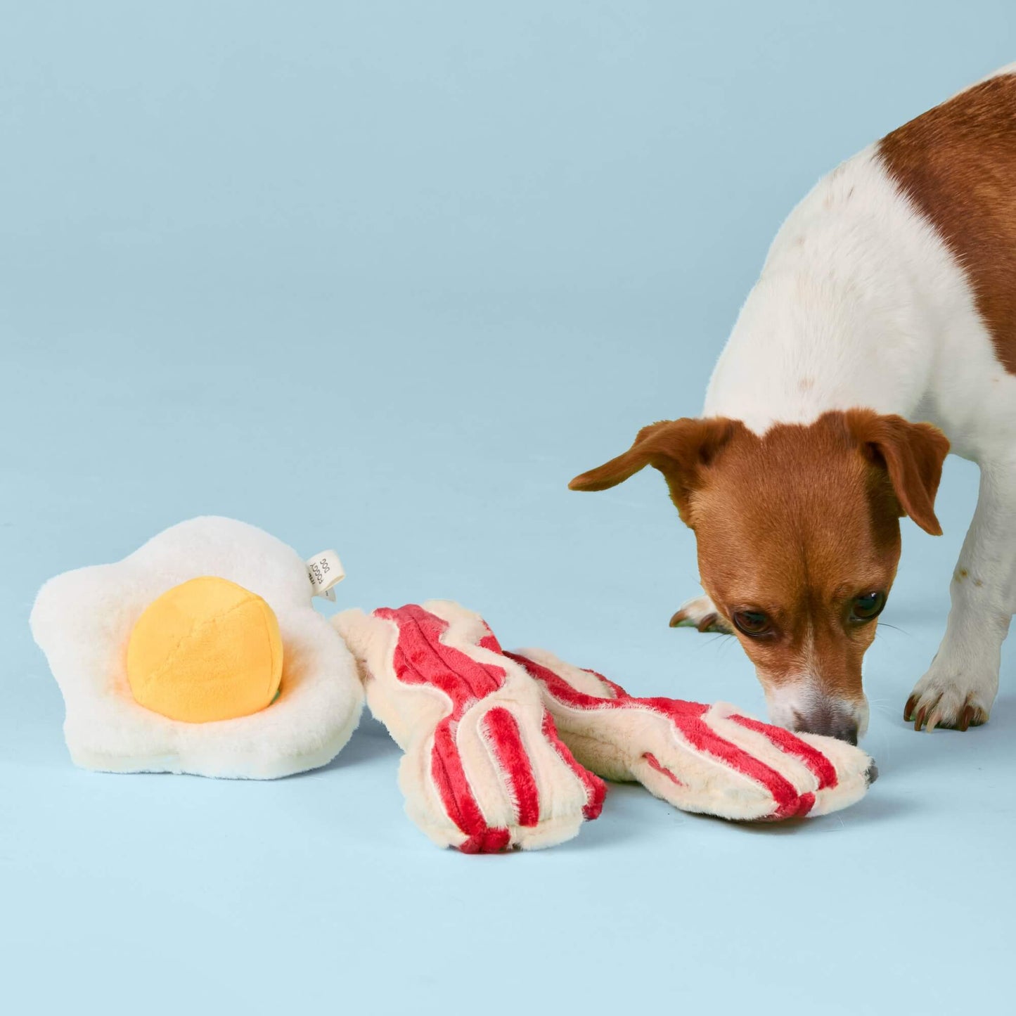 Bacon and Egg Interactive Toy Set