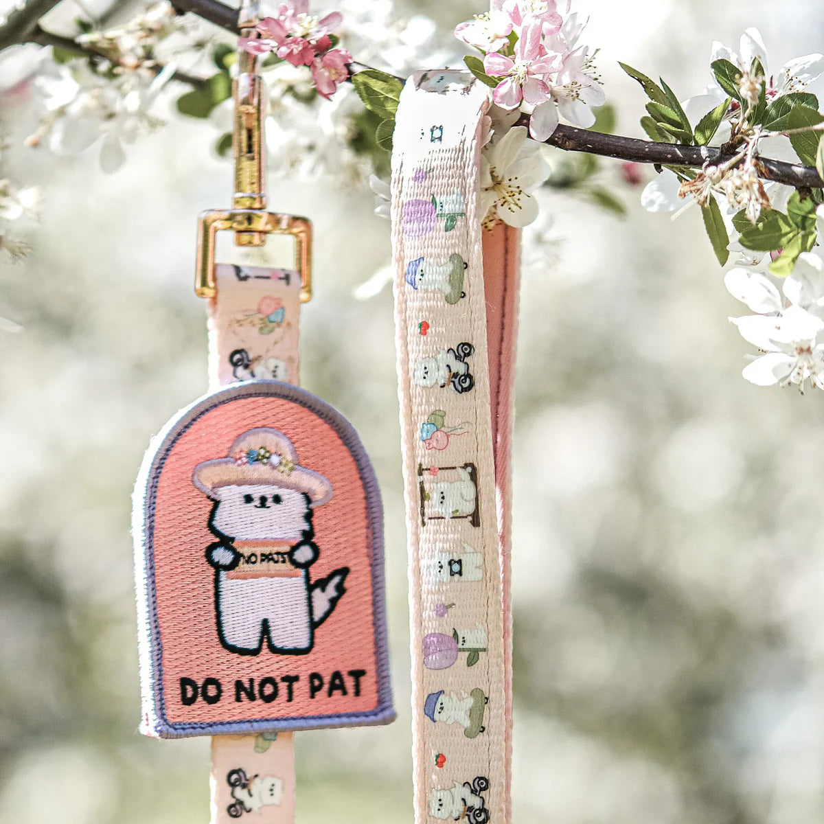 summit in paris leash